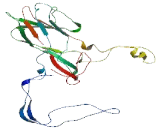 TOPBP1 Interacting Replication Stimulating Protein (Treslin)