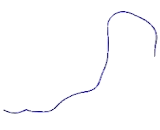 Tribbles Homolog 1 (TRIB1)