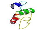 Trichohyalin Like Protein 1 (TCHHL1)