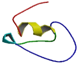 Trichorhinophalangeal Syndrome Protein I (TRPS1)