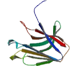 Triggering Receptor Expressed On Myeloid Cells 1 (TREM1)