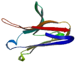 Triggering Receptor Expressed On Myeloid Cells Like Protein 2 (TREML2)