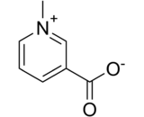 Trigonelline (TG)