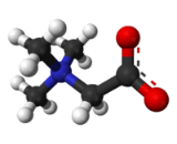 Trimethylglycine (TMG)