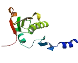 Trimethylguanosine Synthase (TGS1)