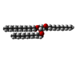 Trimyristin (TM)