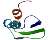 Trinucleotide Repeat Containing Protein 6A (TNRC6A)