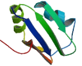 Trinucleotide Repeat Containing Protein 6B (TNRC6B)