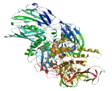 Trinucleotide Repeat Containing Protein 6C (TNRC6C)