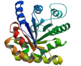 Triosephosphate Isomerase 1 (TPI1)