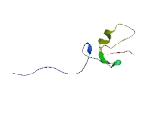 Tripartite Motif Containing Protein 10 (TRIM10)