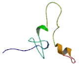 Tripartite Motif Containing Protein 13 (TRIM13)