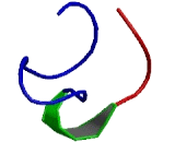 Tripartite Motif Containing Protein 26 (TRIM26)