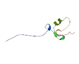 Tripartite Motif Containing Protein 31 (TRIM31)