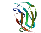 Tripartite Motif Containing Protein 45 (TRIM45)