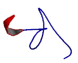 Tripartite Motif Containing Protein 46 (TRIM46)