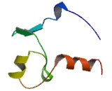 Tripartite Motif Containing Protein 47 (TRIM47)