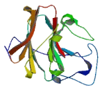 Tripartite Motif Containing Protein 49 Like Protein 1 (TRIM49L1)