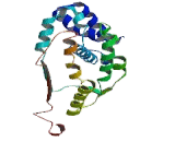 Tripartite Motif Containing Protein 5 (TRIM5)