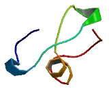 Tripartite Motif Containing Protein 54 (TRIM54)