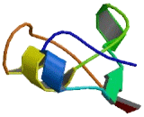 Tripartite Motif Containing Protein 55 (TRIM55)