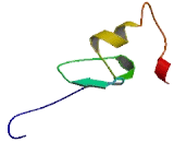 Tripartite Motif Containing Protein 61 (TRIM61)