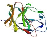 Tripartite Motif Containing Protein 62 (TRIM62)