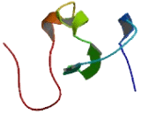 Tripartite Motif Containing Protein 63 (TRIM63)