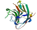 Tripartite Motif Containing Protein 68 (TRIM68)