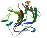 Tripartite Motif Containing Protein 69 (TRIM69)