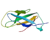 Tripartite Motif Containing Protein 9 (TRIM9)