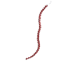 Tropomyosin 1 Alpha (TPM1)