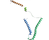 Cardiac Troponin I (cTnI)