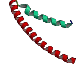 Troponin T Type 1, Slow Skeletal (TNNT1)