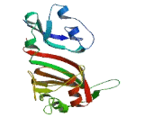 TruB Pseudouridine Synthase Homolog 1 (TRUB1)