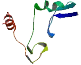 TruB Pseudouridine Synthase Homolog 2 (TRUB2)