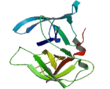 Trypsin Domain Containing Protein 1 (TYSND1)