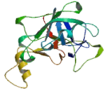 Tryptase Delta 1 (TPSd1)