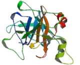 Tryptase Gamma 1 (TPSg1)