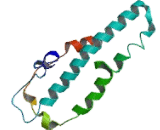 Tryptophan-2,3-dioxygenase (TDO)