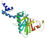 Ts Translation Elongation Factor, Mitochondrial (TSFM)