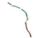 Tuberous Sclerosis Protein 1 (TSC1)