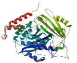 Tubulin Alpha 3E (TUBa3E)