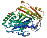 Tubulin Alpha 4A (TUBa4A)