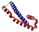 Tubulin Folding Cofactor A (TBCA)