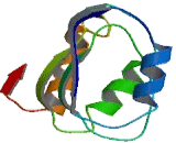 Tubulin Folding Cofactor E Like Protein (TBCEL)