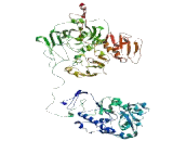 Tubulin Gamma Complex Associated protein 2 (TUBgCP2)