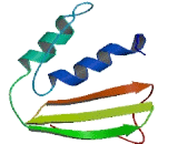 Tubulin Polyglutamylase Complex Subunit 2 (PGS2)