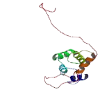 Tubulin Polymerization Promoting Protein 2 (TPPP2)