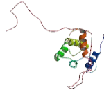 Tubulin Polymerization Promoting Protein 3 (TPPP3)